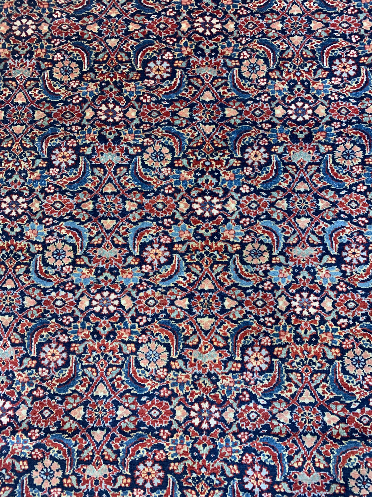 Detailed field showing densely arranged Herati motifs with fine drawing