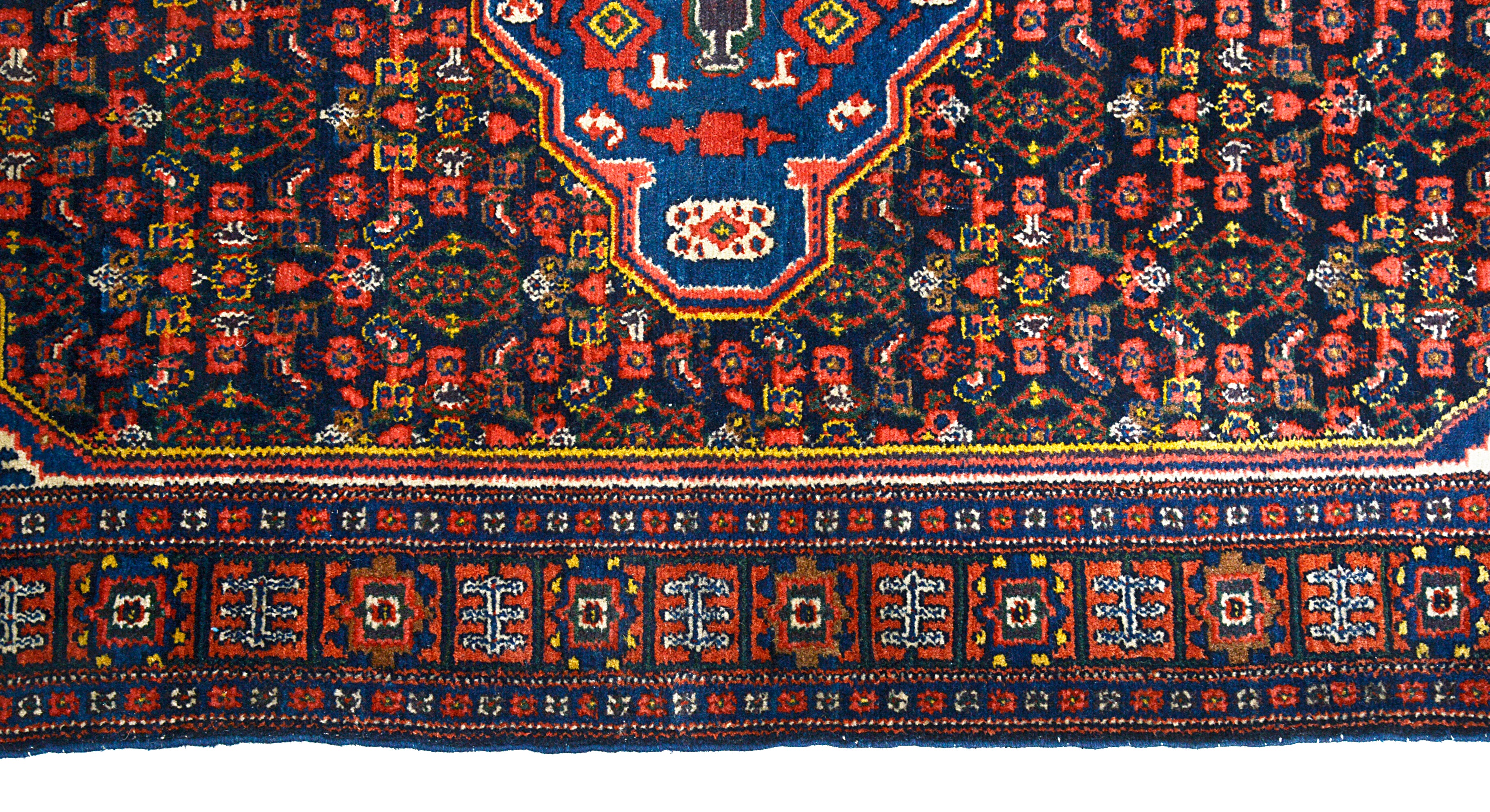 Border detail of an antique Persian Senneh rug