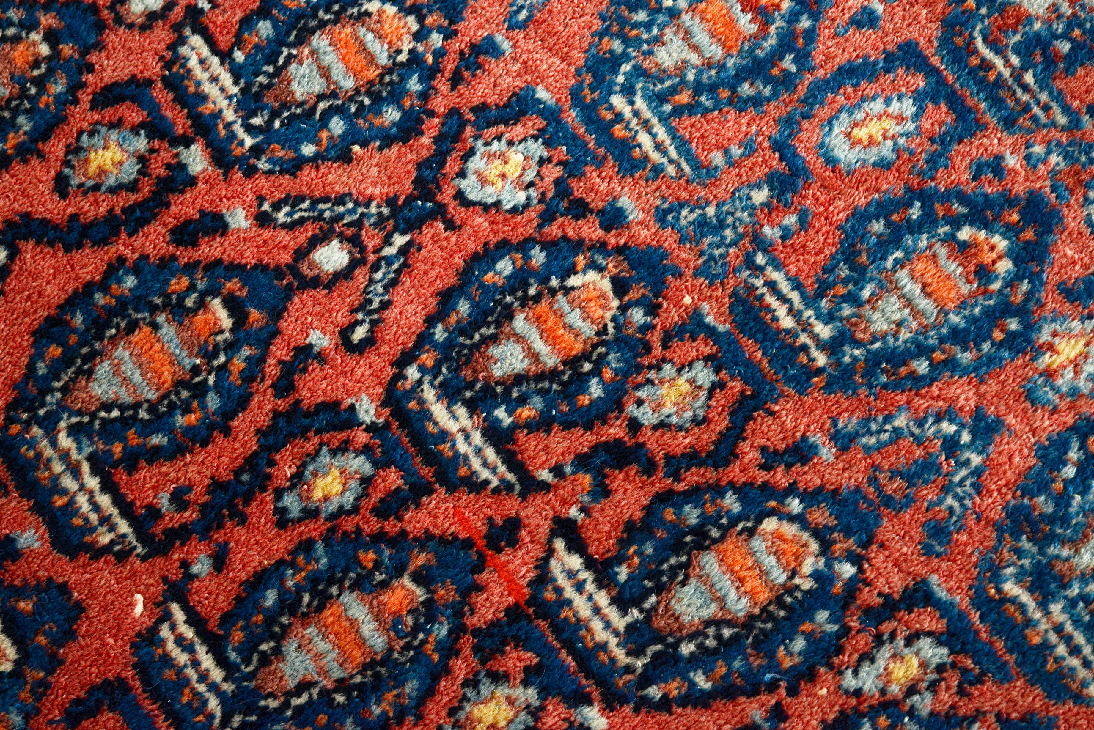 Fine hand-knotted wool texture of an antique Persian Senneh rug