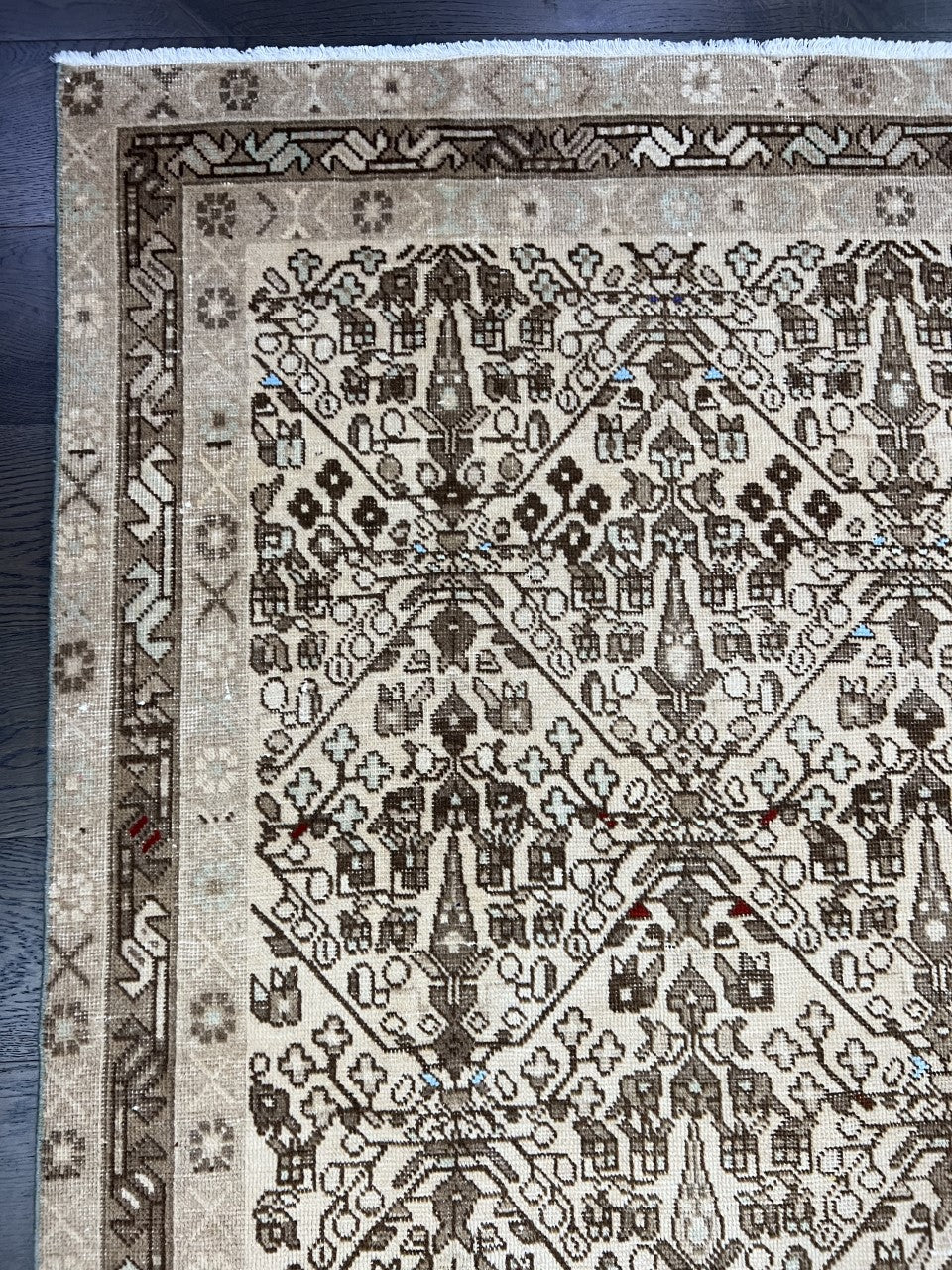 Close-up of Afshar rug featuring dense geometric patterns in muted earthy tones