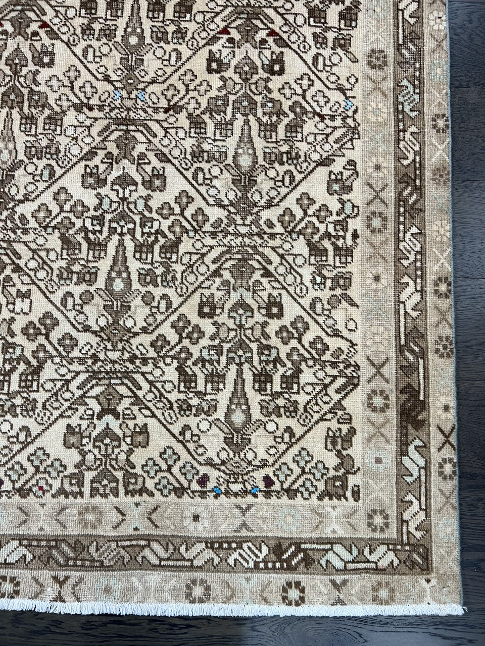 Full Afshar rug view with finely detailed field and layered geometric border