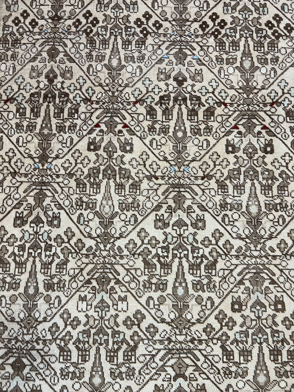 Close-up of Afshar rug showing repeating angular motifs across the central field