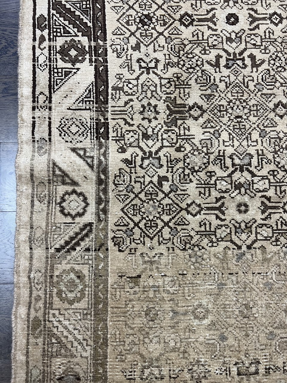 Detailed Malayer rug section featuring dense floral and geometric motifs