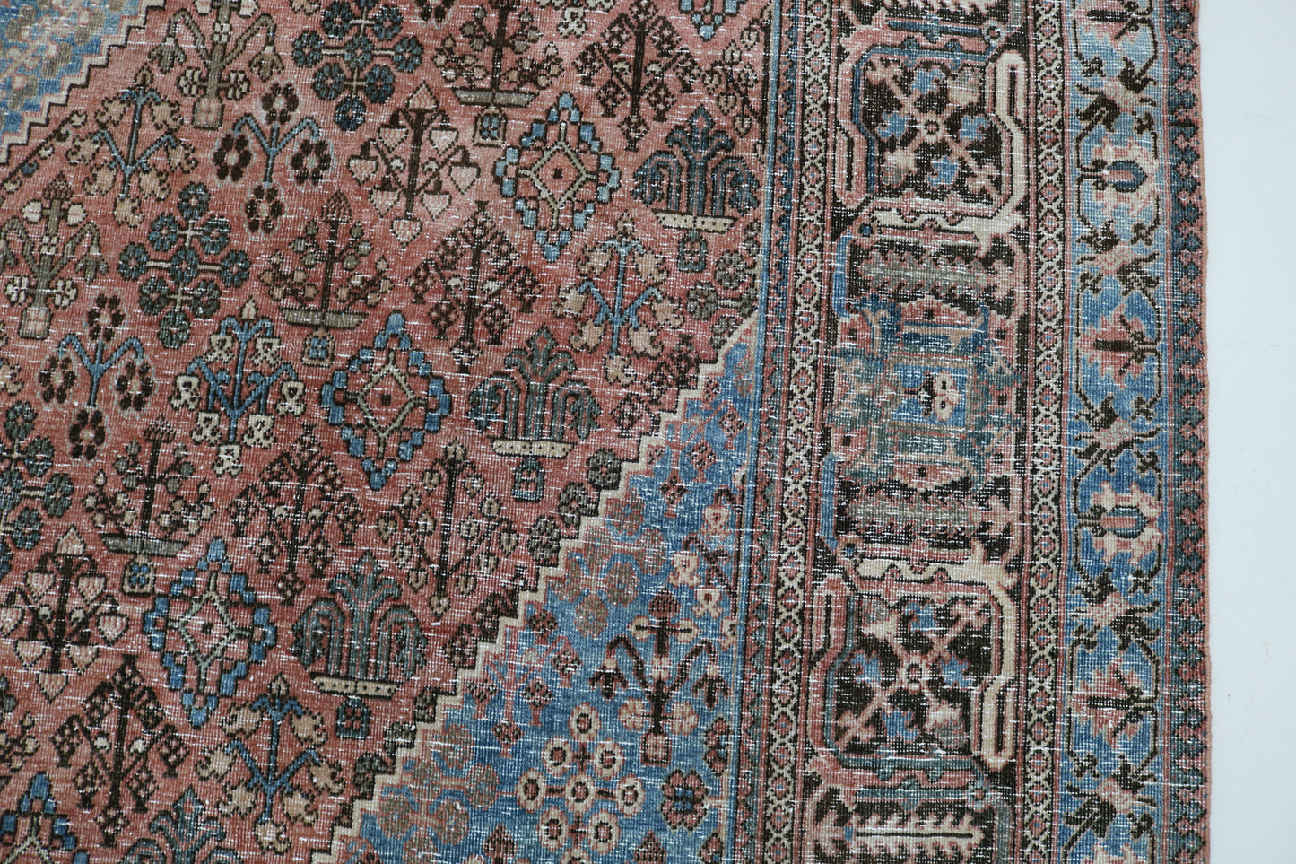 Stunning Antique Josheqan Carpet