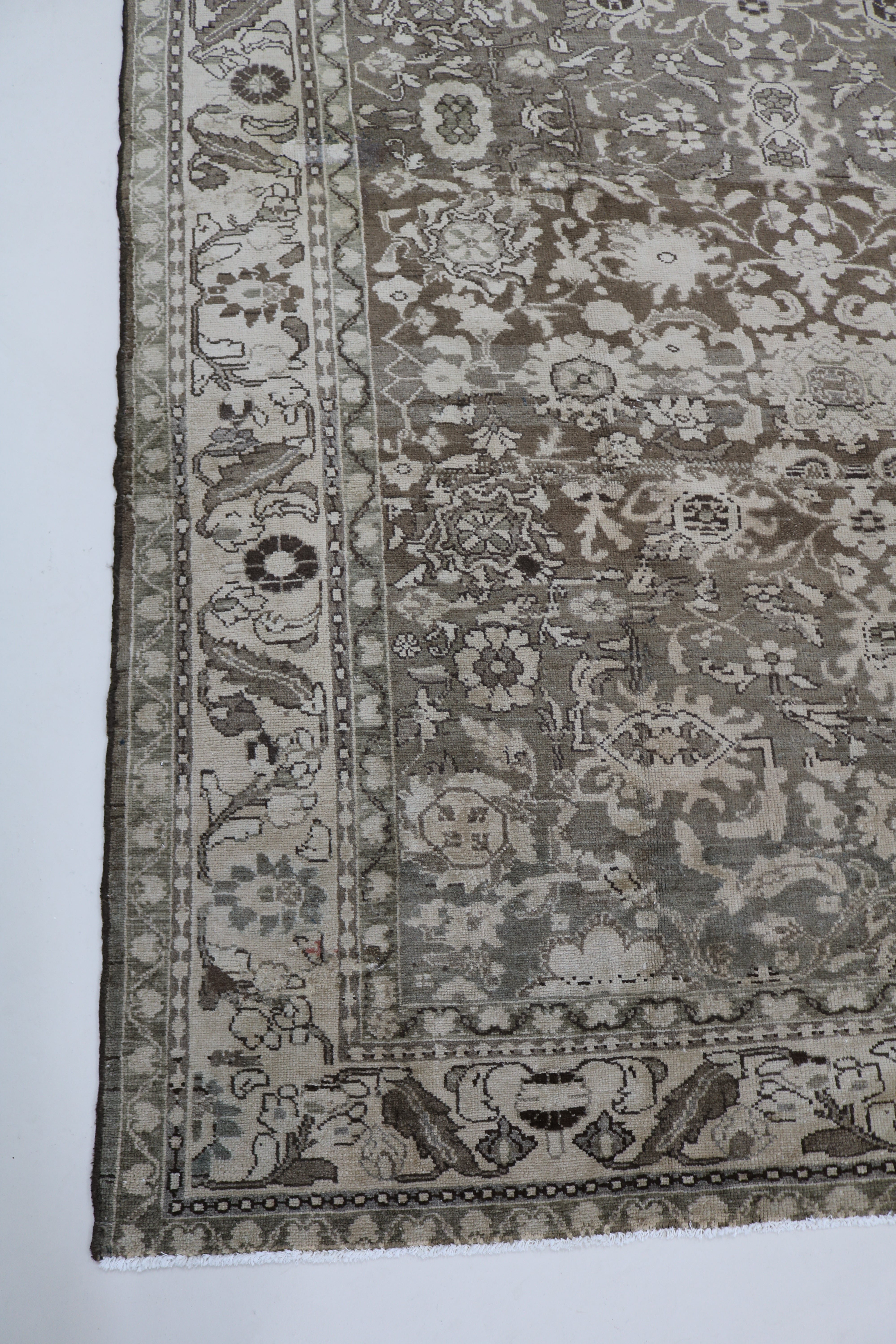 Persian Malayer carpet with finely drawn floral field and balanced border, 325 × 210 cm
