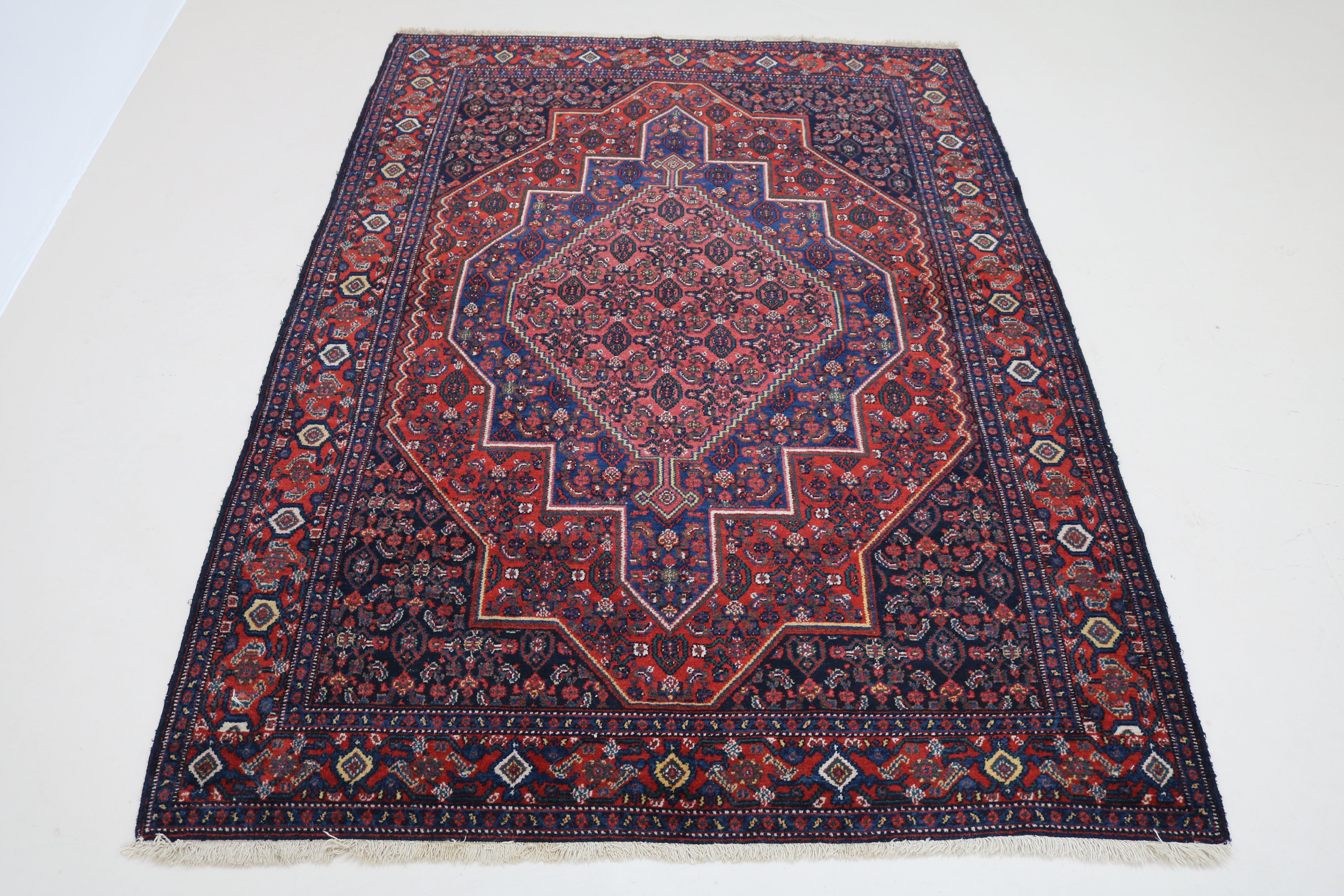 Full view of antique Persian Senneh rug with finely drawn all-over pattern
