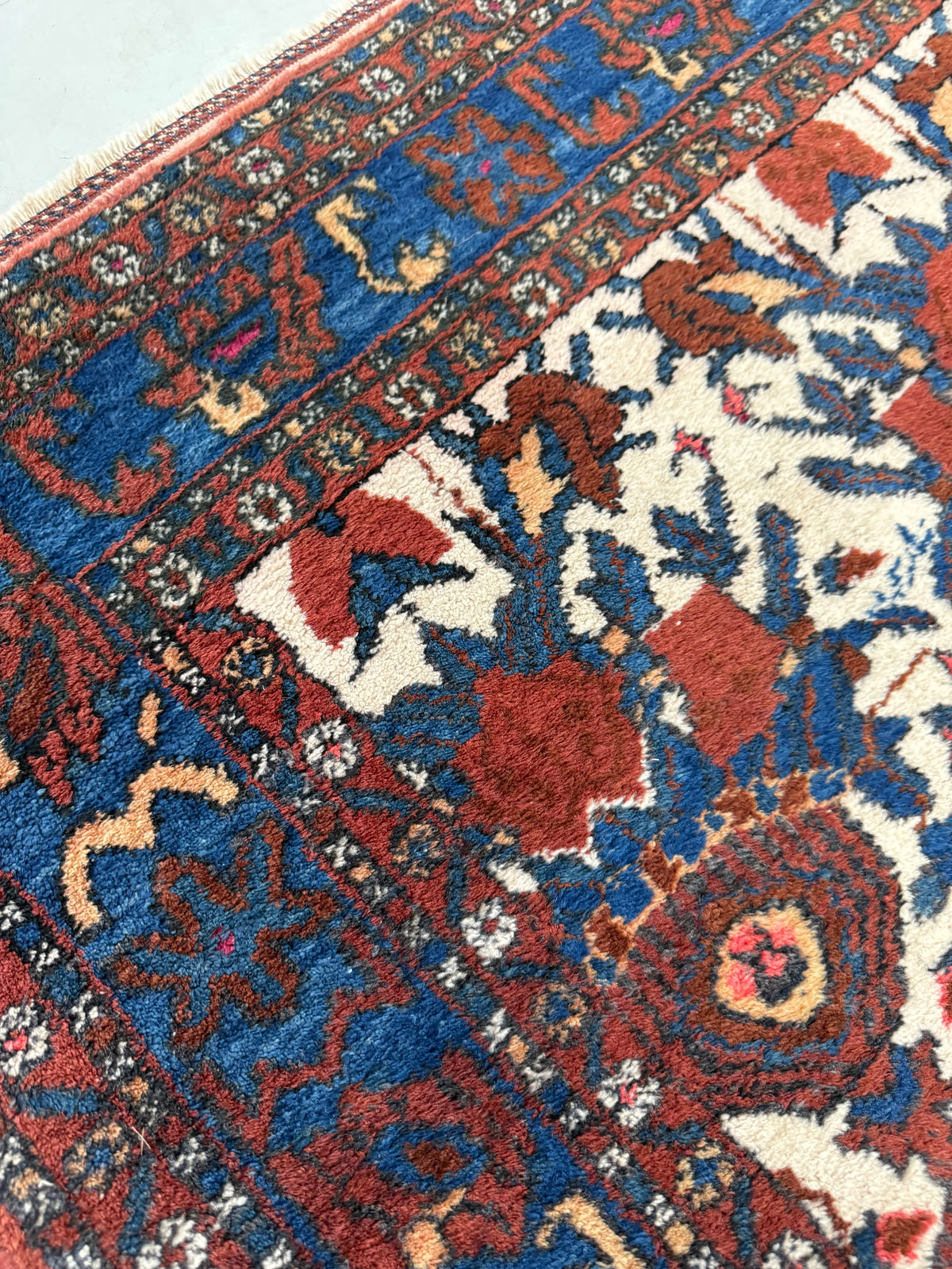 Detailed Afshar rug corner featuring floral motifs and richly patterned decorative border