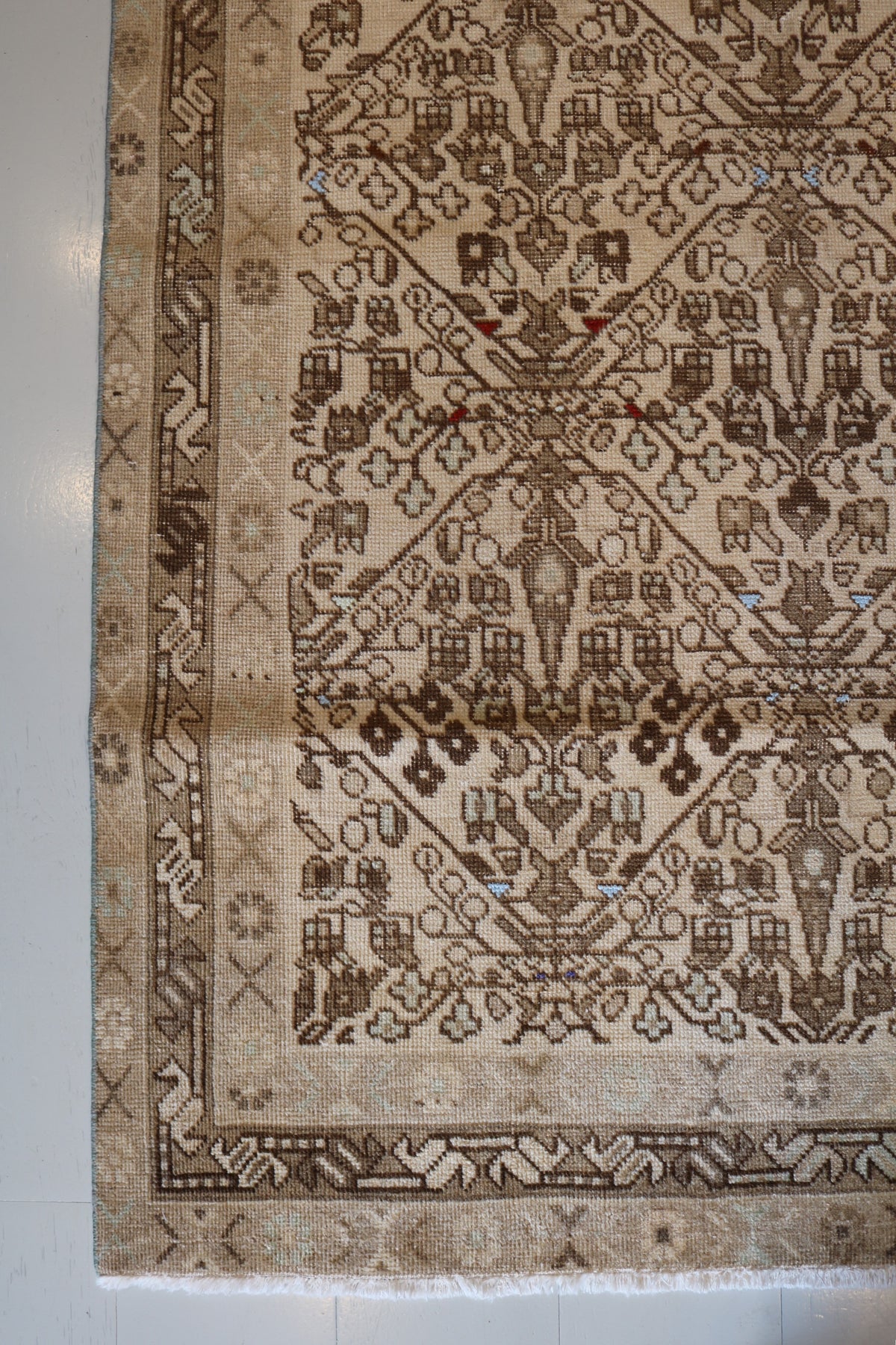 Antique Persian Afshar rug with geometric motifs and layered decorative borders