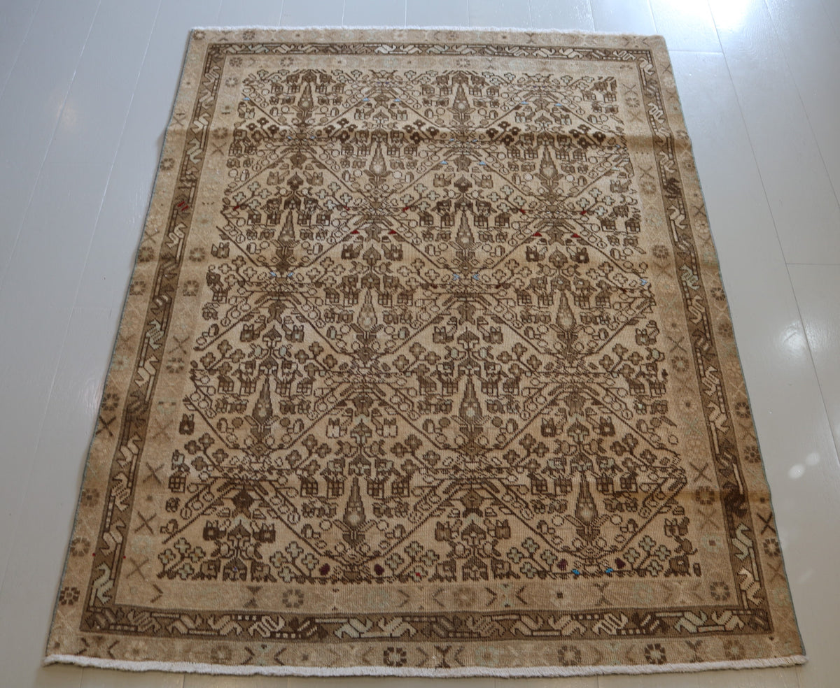 Full Afshar rug showing balanced field with evenly spaced stylised motifs