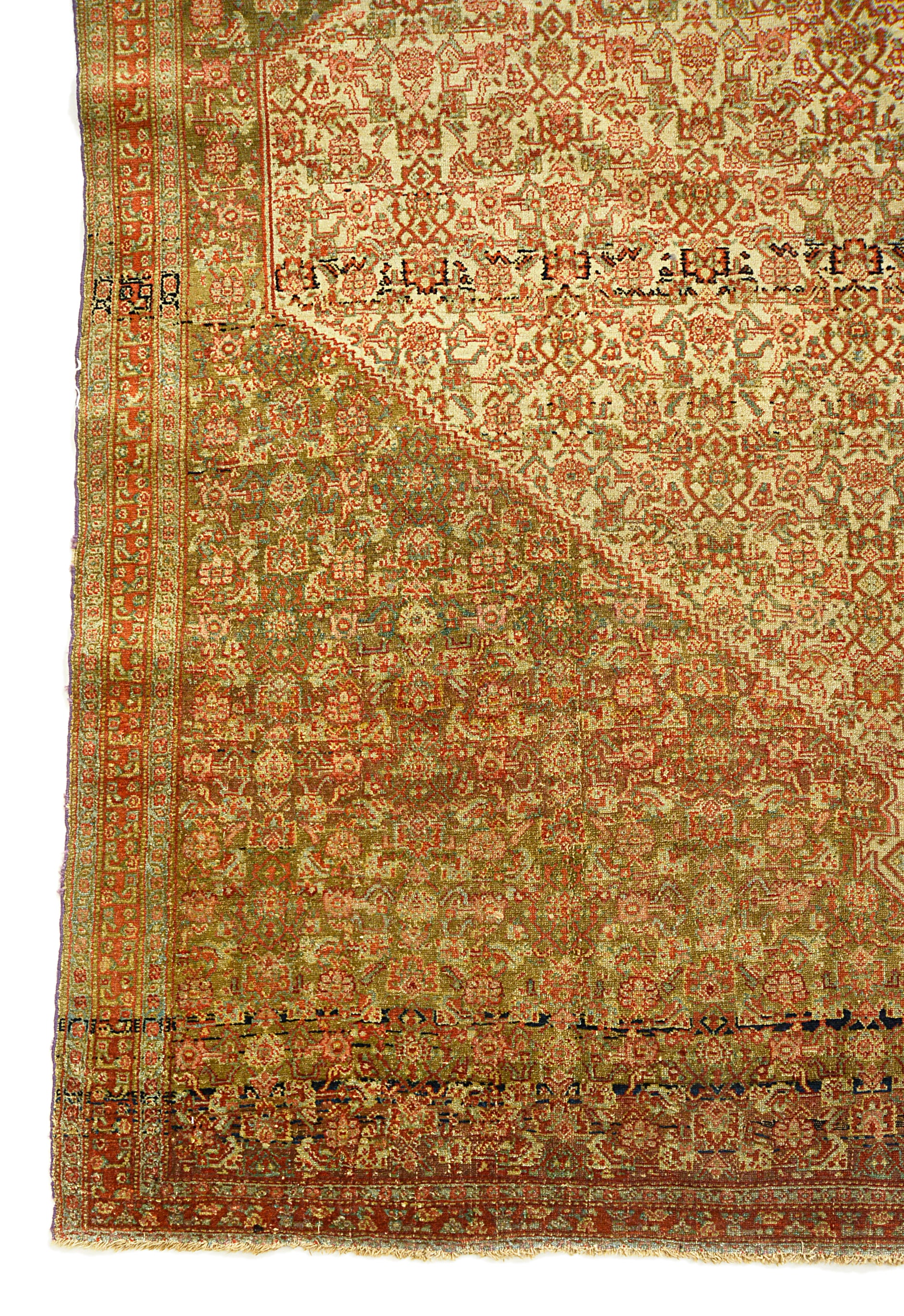 Corner view of an antique Persian Senneh rug showing fine border and field details
