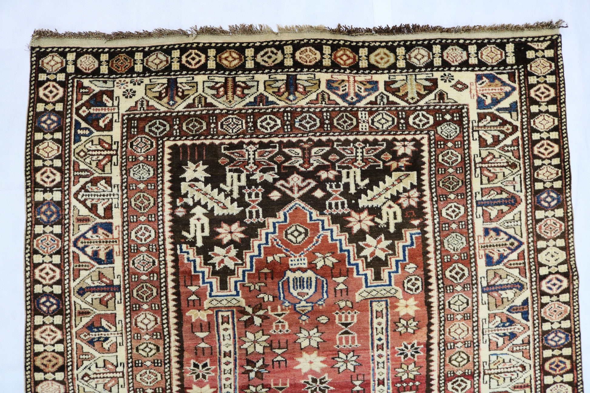 Antique Caucasian Shirwan rug - Hakiemie Rug Gallery