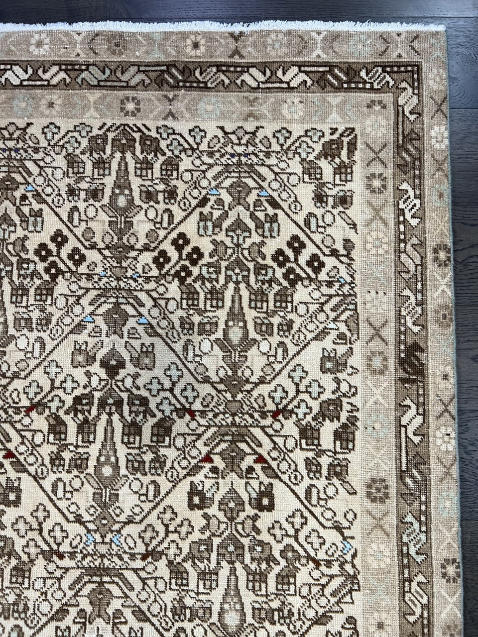 Detailed rug section showing intricate geometric motifs and contrasting decorative borders