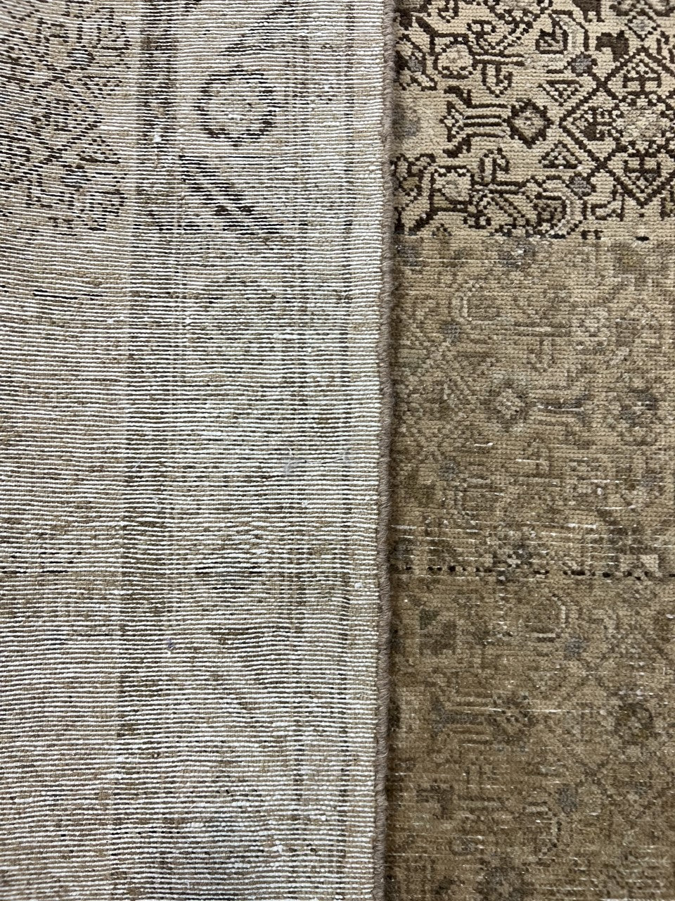Side view of folded rug revealing the muted field and decorative border