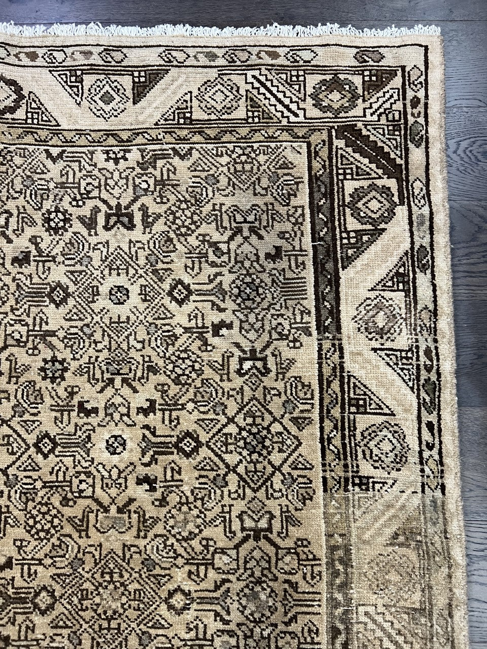 Full rug view showing balanced design and layered geometric borders