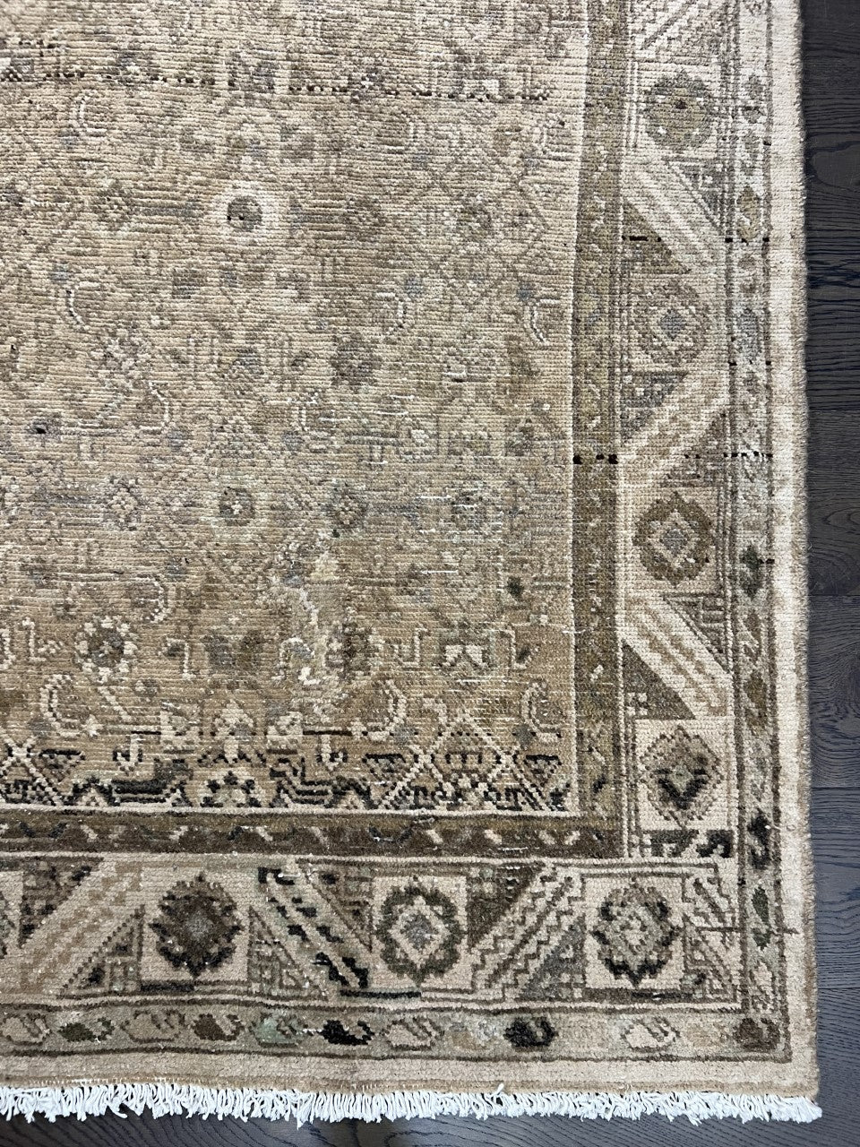 Close-up showing delicate geometric designs across the muted rug field