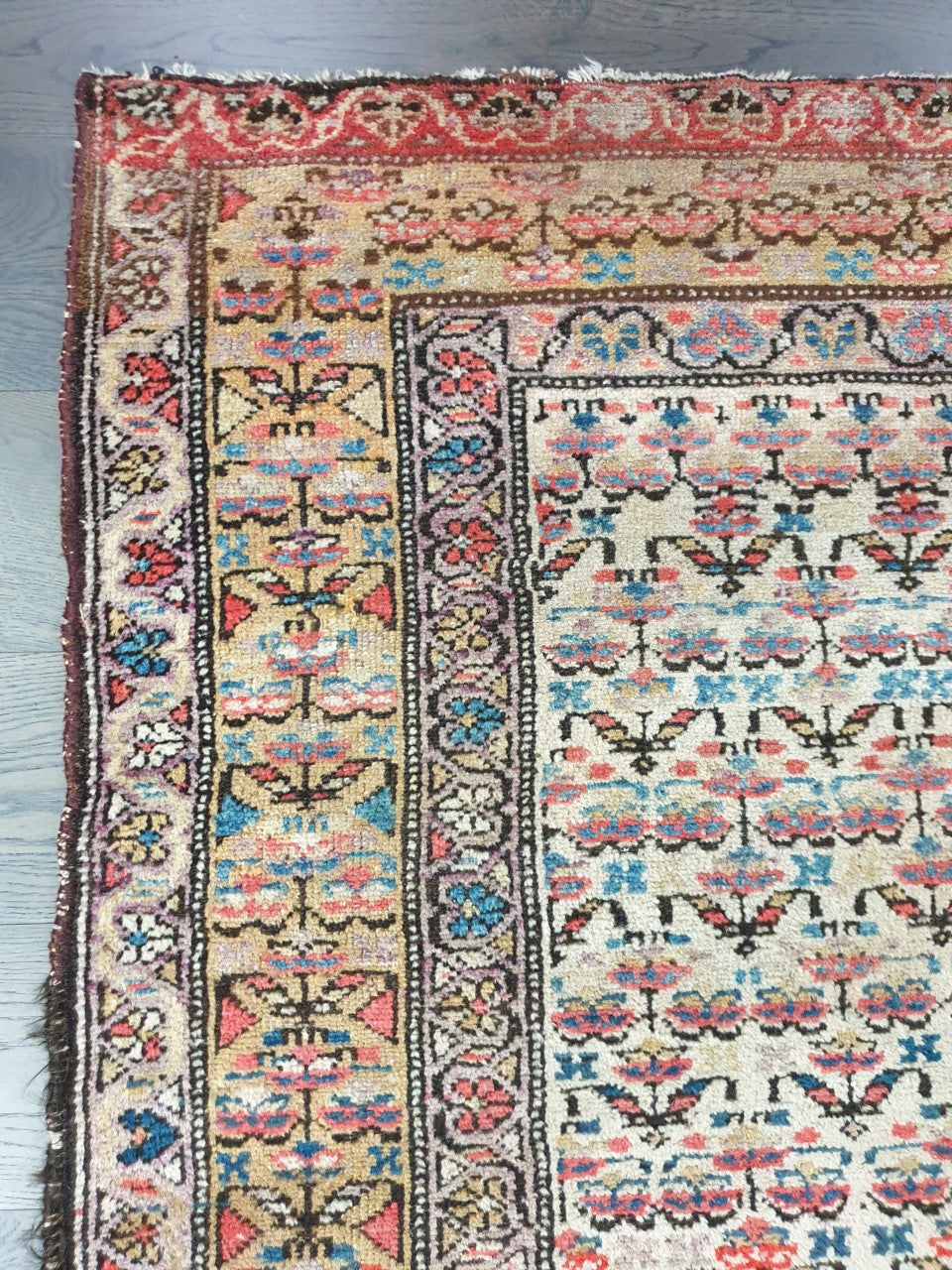 Beautiful antique North - West Persian Rug - Hakiemie Rug Gallery
